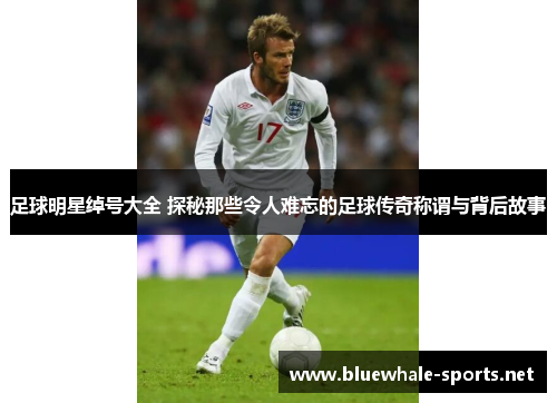 足球明星绰号大全 探秘那些令人难忘的足球传奇称谓与背后故事